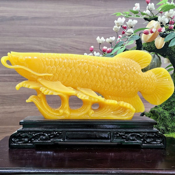 Cá Rồng Phong Thủy size nhỏ